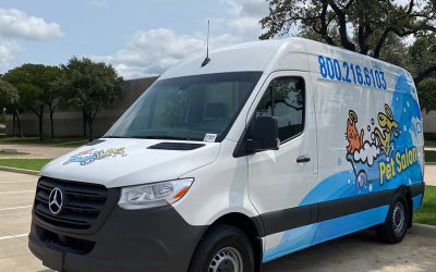 Pet Salon Truck Car Wrap