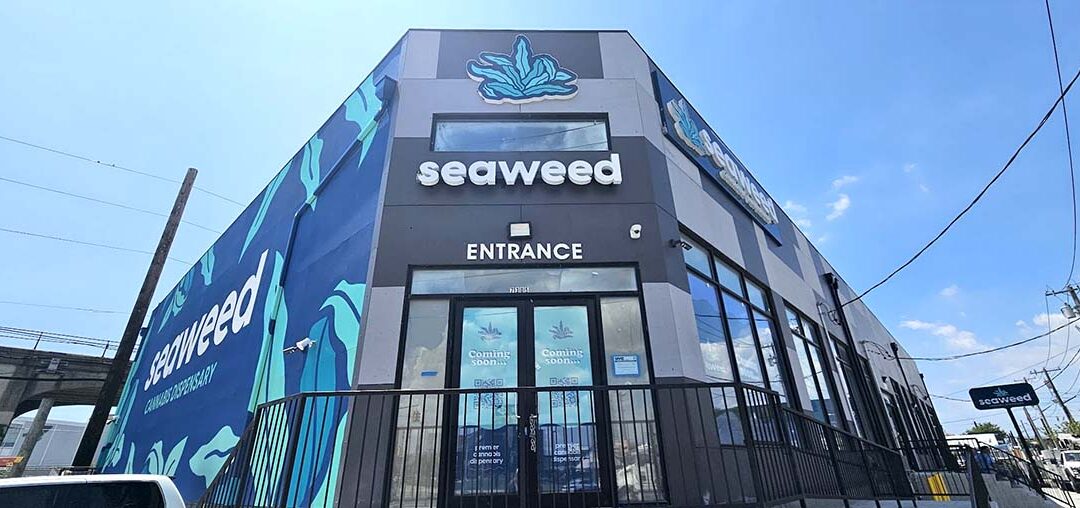 Seaweed dispensery long island - Channel Letter Signs