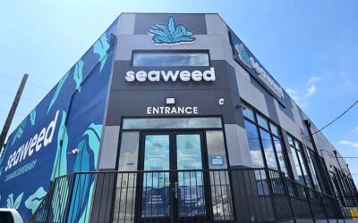 Seaweed Channel Letters Sign