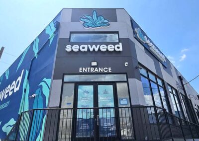 Seaweed Channel Letters Sign